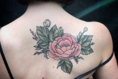 Botanical Tattoo Artist Anna Clarke