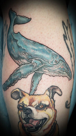 Whale by Anne Morando